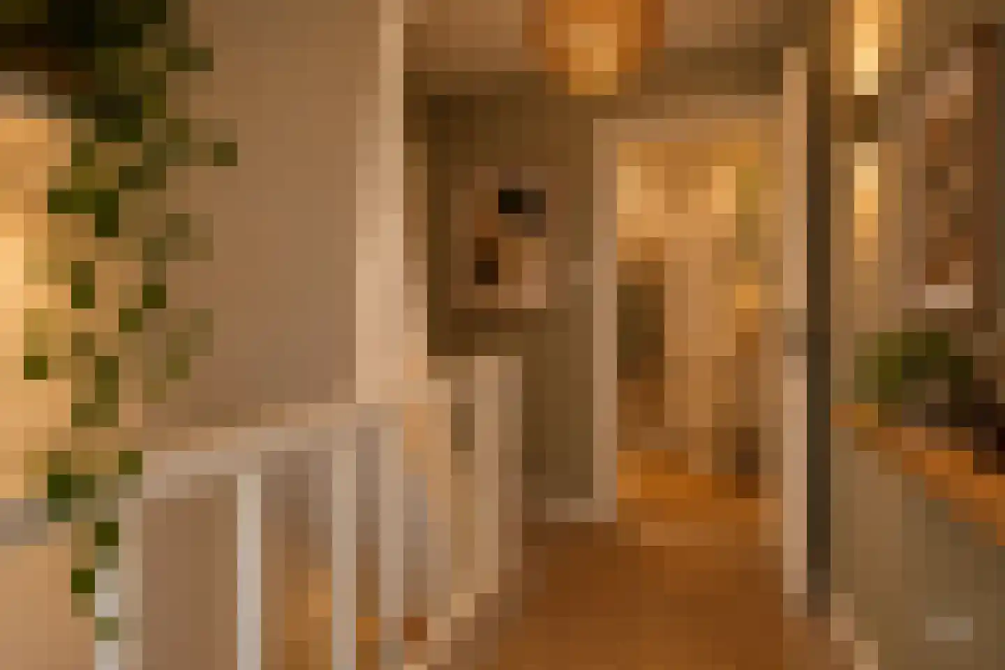 Eikenrodelaan 62 Amstelveen thumbnail 8