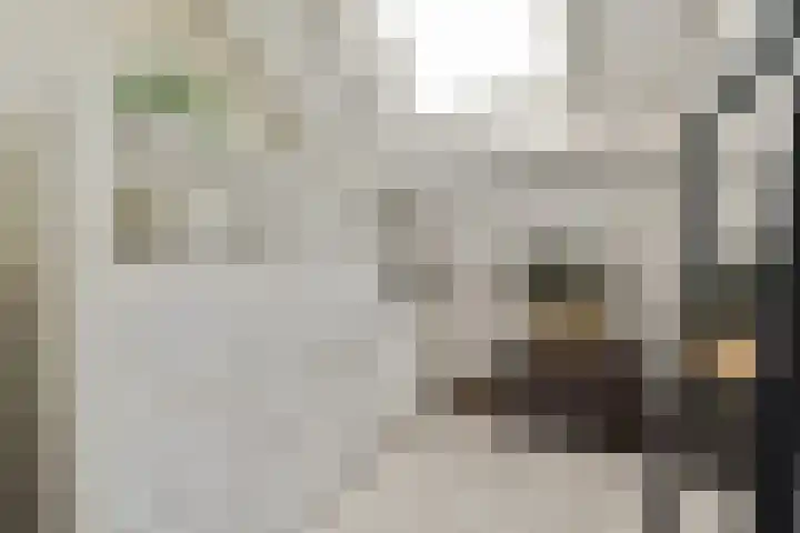 Eikenrodelaan 76 BV Amstelveen thumbnail 22