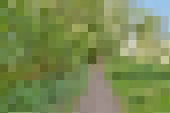 Eikenrodelaan 76 BV Amstelveen thumbnail 31