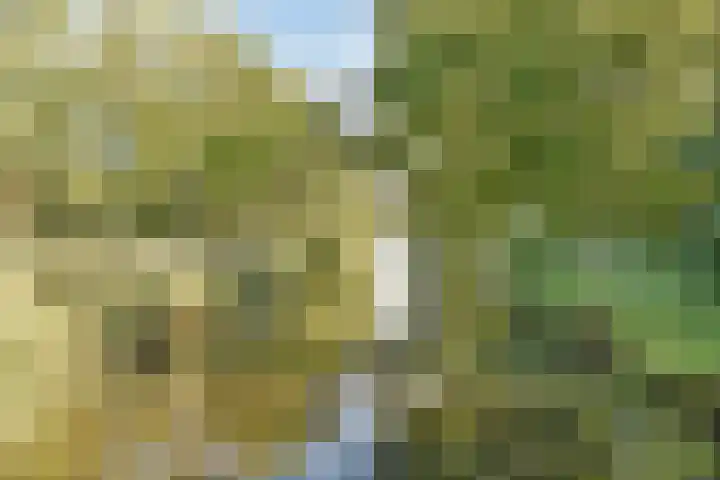 Eikenrodelaan 76 BV Amstelveen thumbnail 32