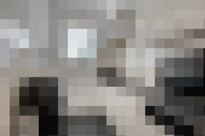 Eikenrodelaan 76 BV Amstelveen thumbnail 5