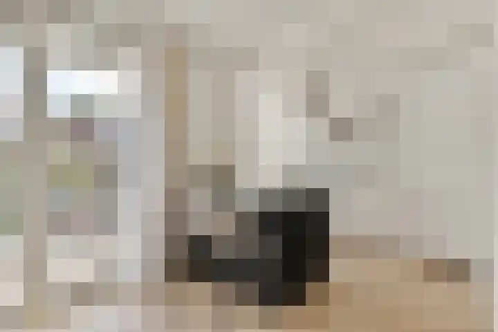 Eikenrodelaan 76 BV Amstelveen thumbnail 7
