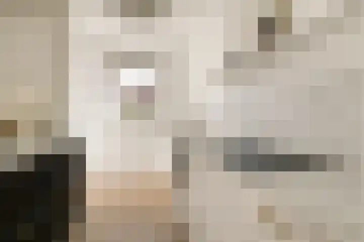 Eikenrodelaan 76 BV Amstelveen thumbnail 8