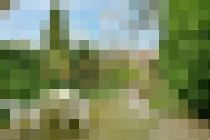 Eikenrodelaan 79 HS Amstelveen thumbnail 12