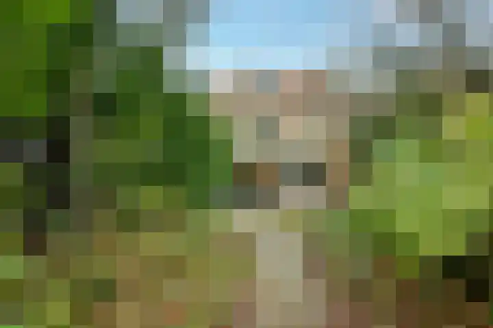Eikenrodelaan 79 HS Amstelveen thumbnail 14