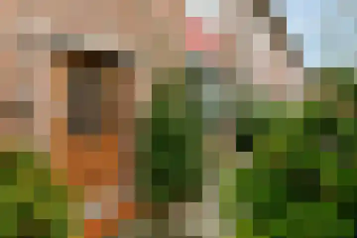 Eikenrodelaan 79 HS Amstelveen thumbnail 16