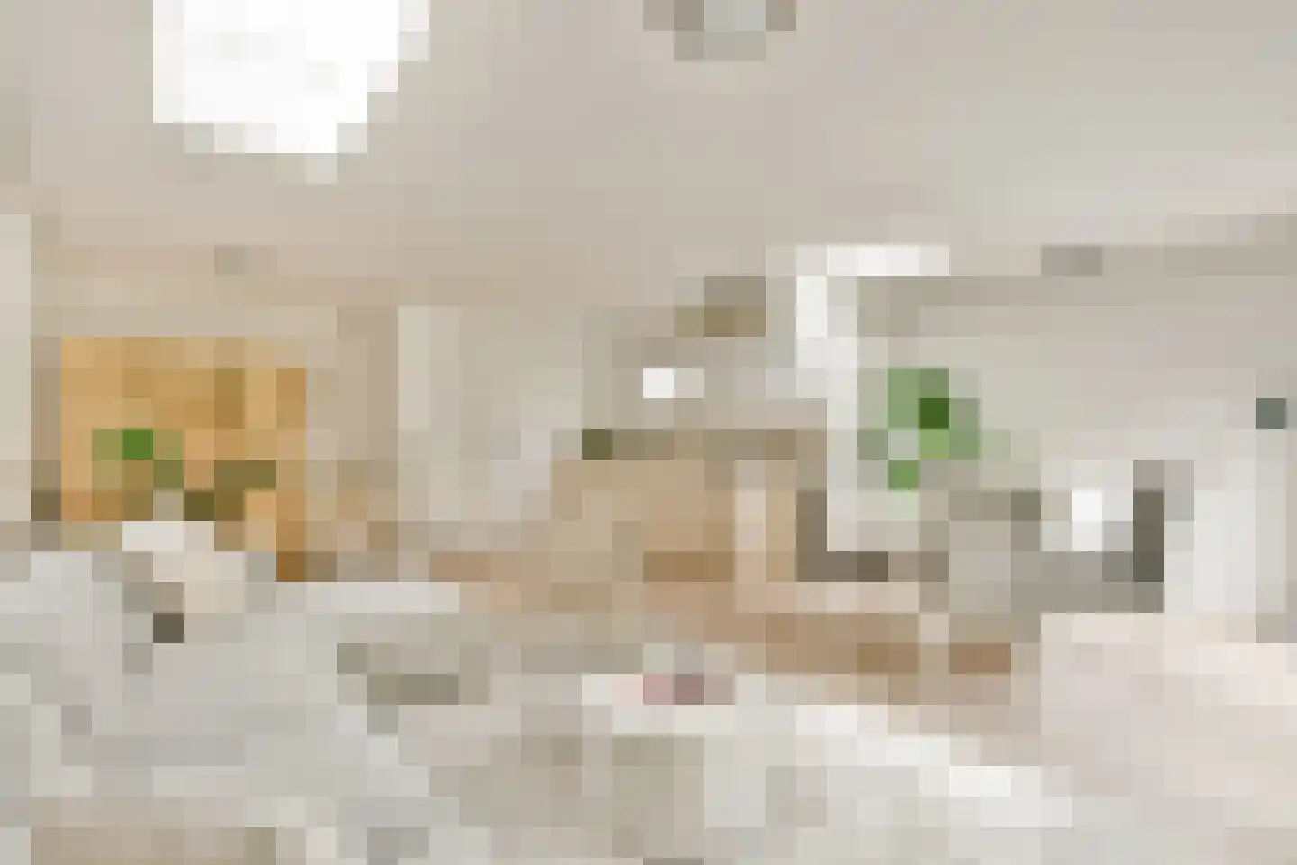 Eikenrodelaan 89 Amstelveen thumbnail 18