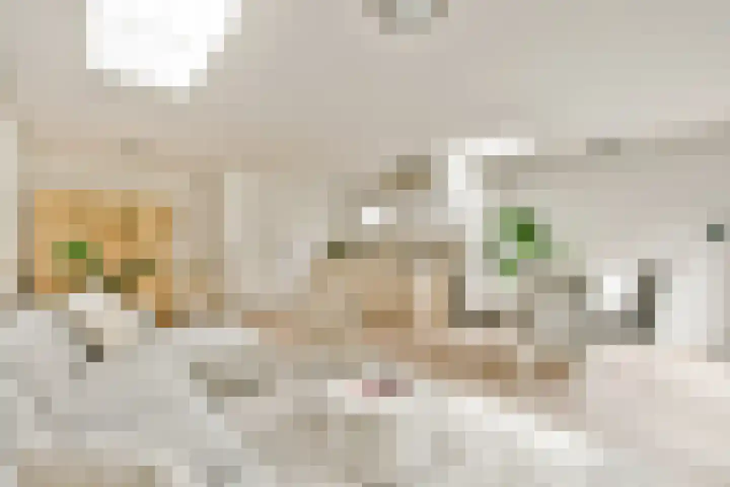 Eikenrodelaan 89 Amstelveen thumbnail 18