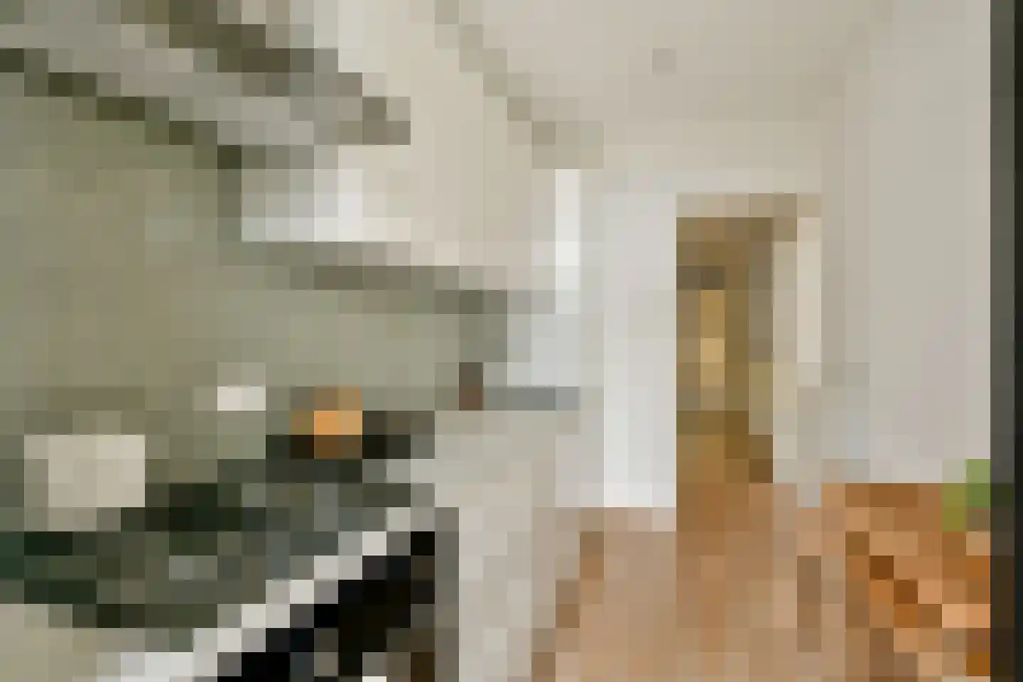 Eikenrodelaan 92 BV Amstelveen thumbnail 12