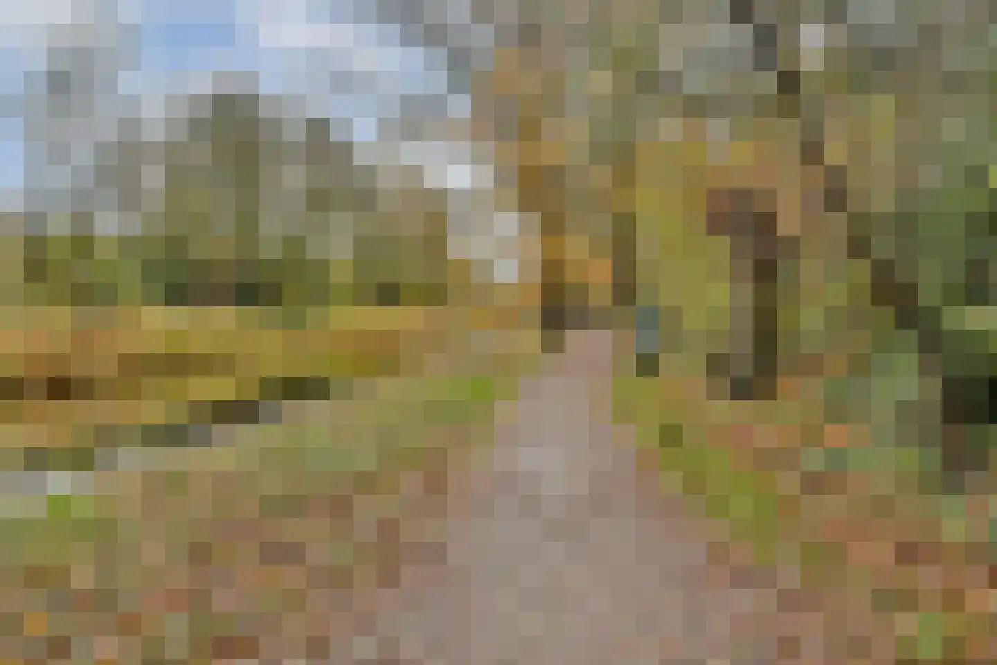 Eikenrodelaan 92 BV Amstelveen thumbnail 23