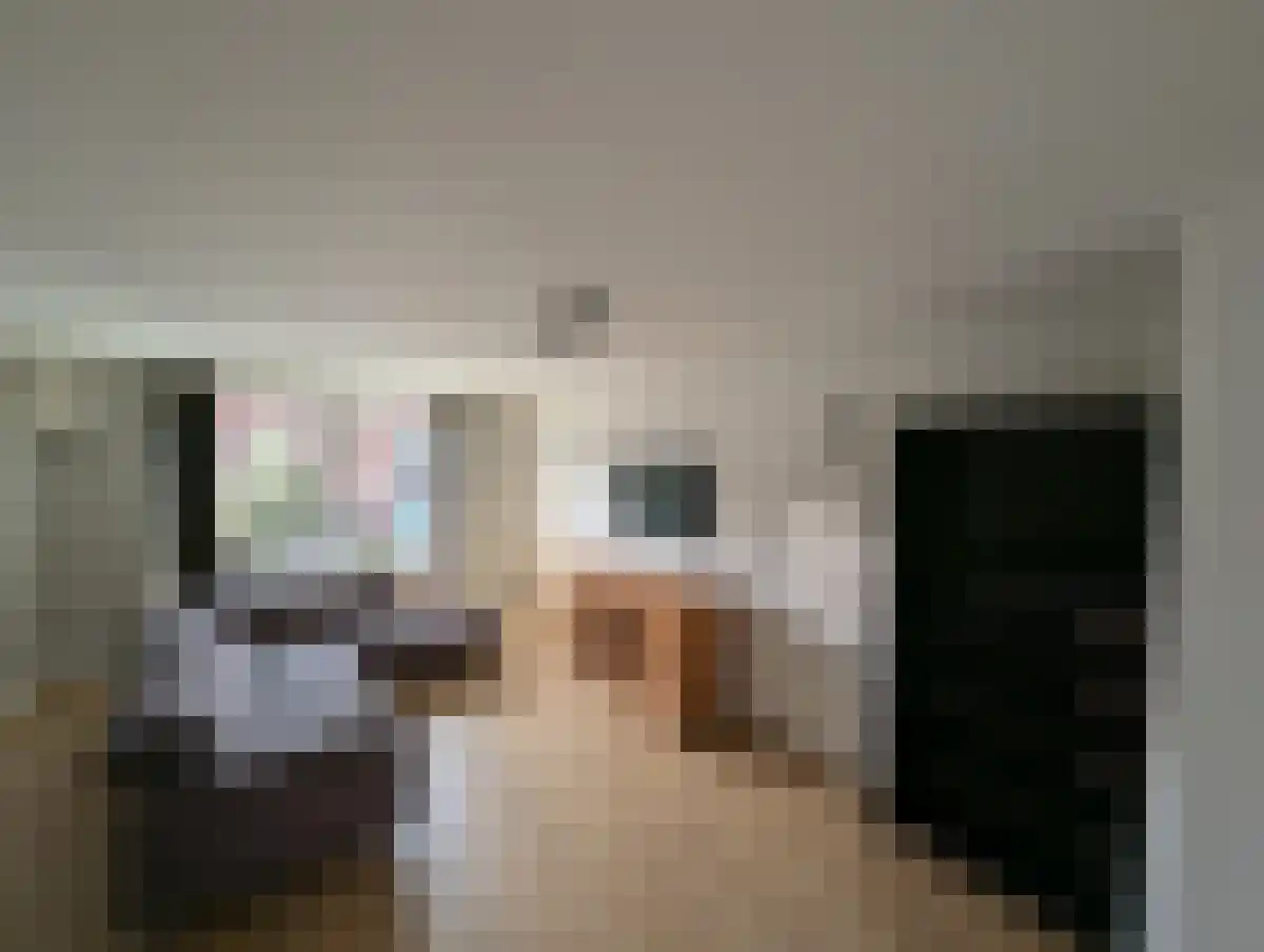 Eikenrodelaan 92 BV Amstelveen thumbnail 6