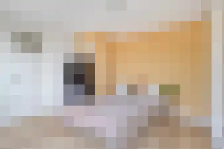 Eikenrodelaan 97 HS Amstelveen thumbnail 20