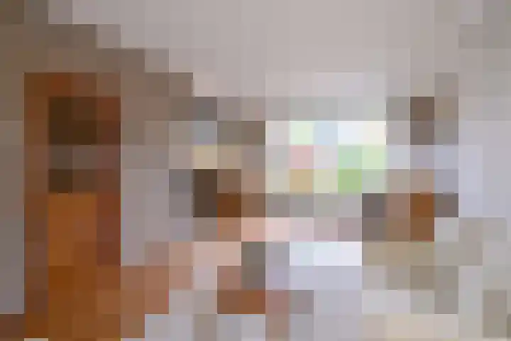 Eikensingel 6 Gorssel thumbnail 10