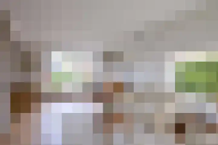 Eikensingel 6 Gorssel thumbnail 11