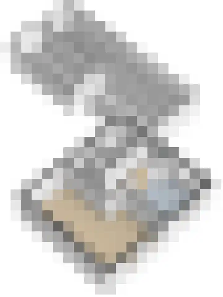 Eikensingel 6 Gorssel thumbnail 12