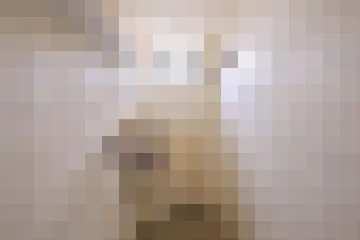 Eikensingel 6 Gorssel thumbnail 30