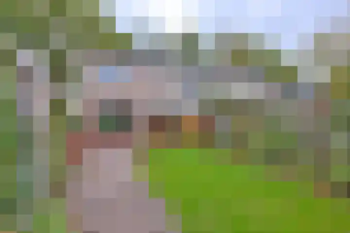 Eikensingel 6 Gorssel thumbnail 33