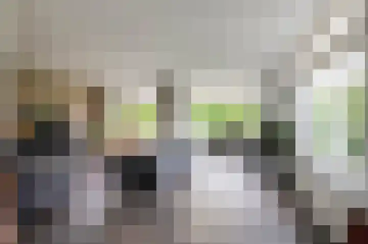 Eikensingel 6 Gorssel thumbnail 38