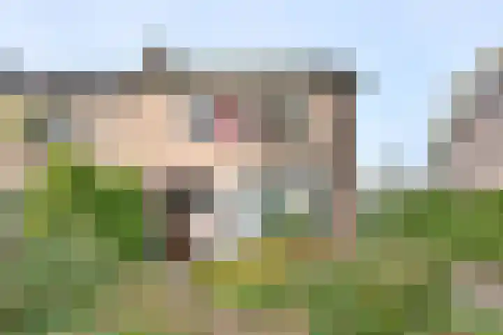 Eikensingel 6 Gorssel thumbnail 4