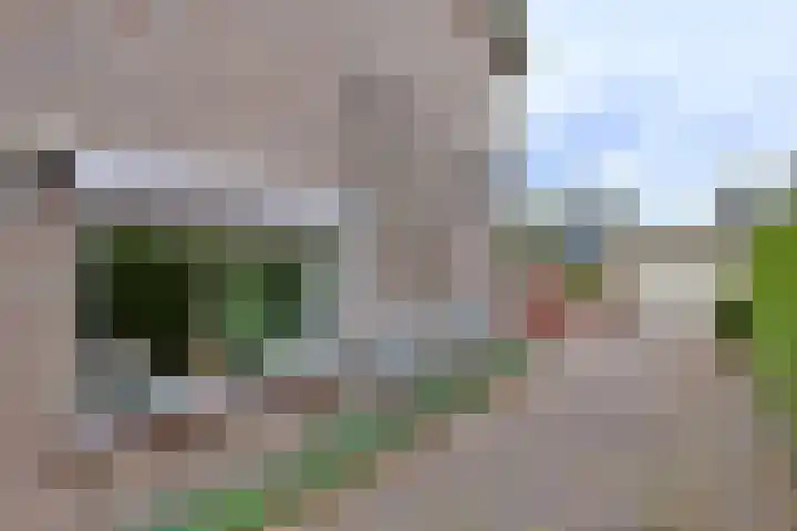 Eikensingel 6 Gorssel thumbnail 41