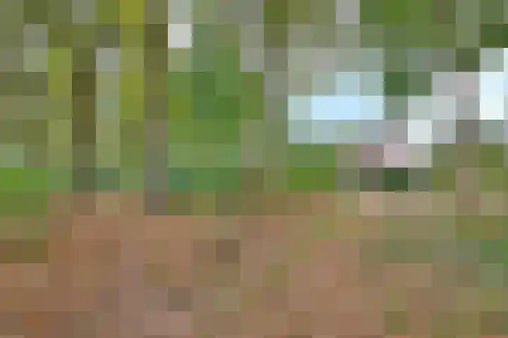 Eikensingel 6 Gorssel thumbnail 44