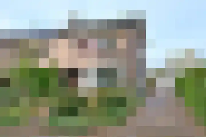 Eikensingel 6 Gorssel thumbnail 5