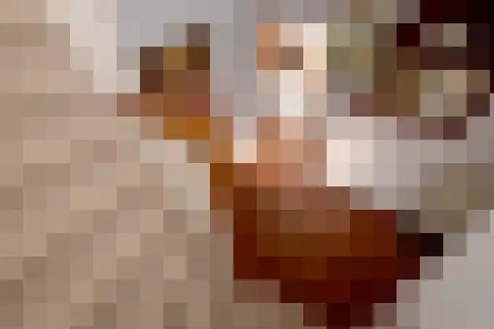 Eikensingel 6 Gorssel thumbnail 8