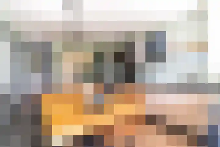 Eikensteinstraat 61 Wassenaar thumbnail 6