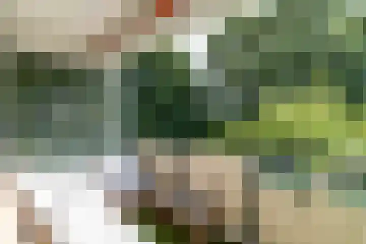 Eikensteinstraat 61 Wassenaar thumbnail 7