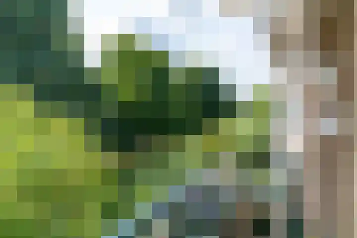 Eikensteinstraat 61 Wassenaar thumbnail 8