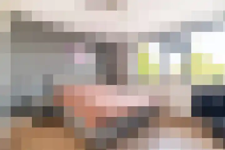 Eikensteinstraat 61 Wassenaar thumbnail 9