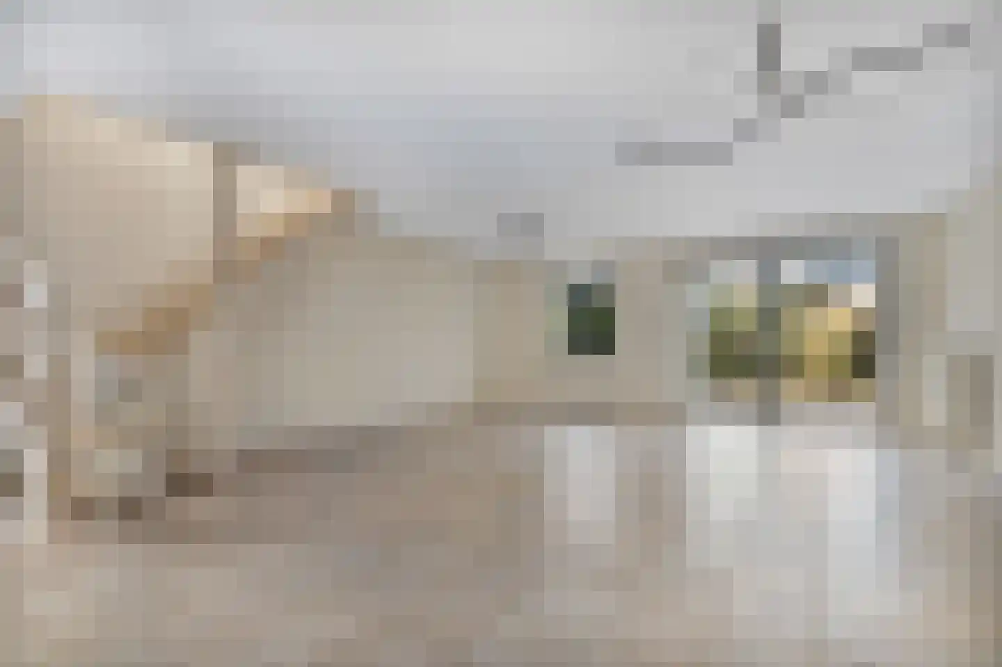 Eikenstraat 1 Almere thumbnail 5