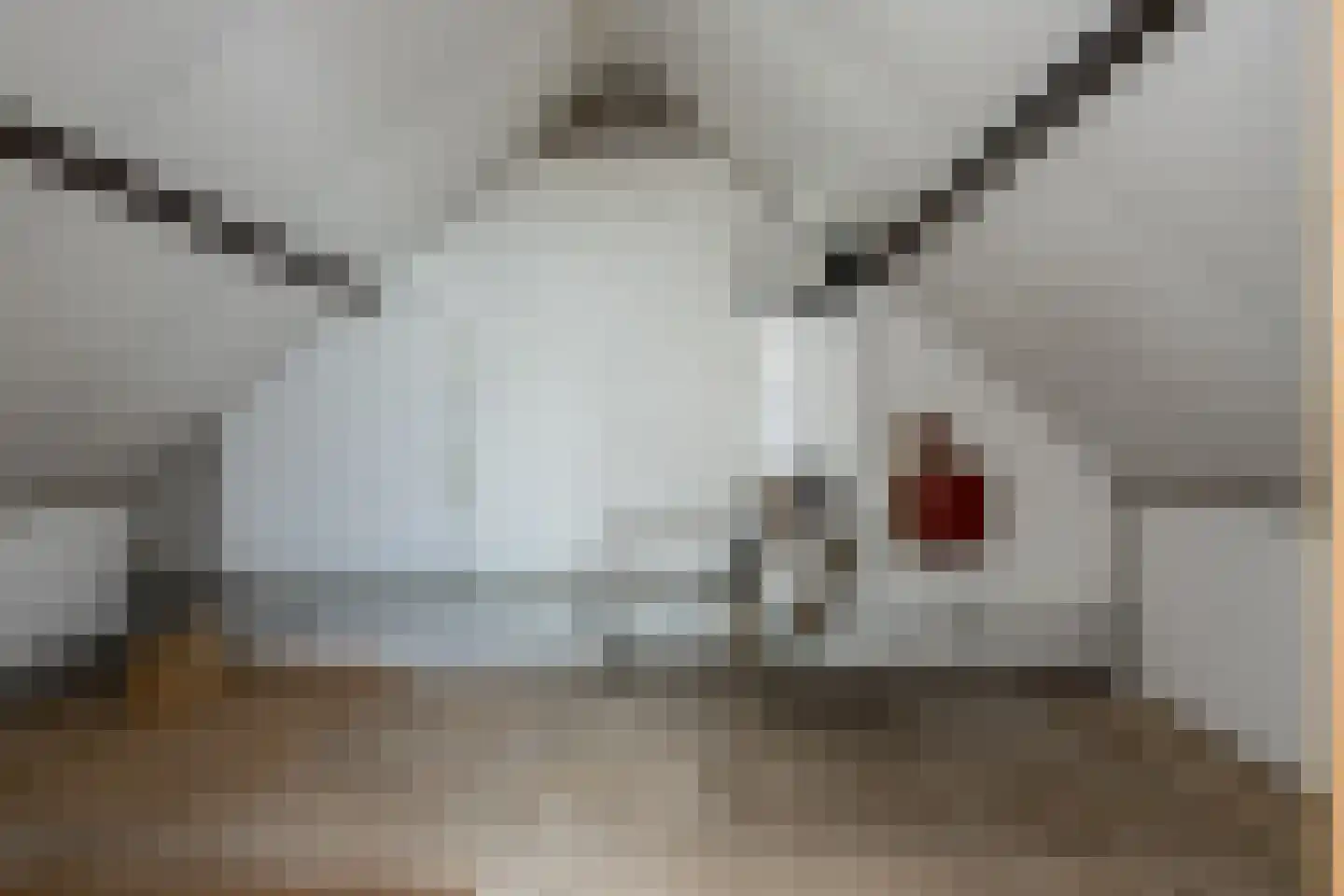 Eikenstraat 12 Eethen thumbnail 25