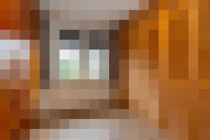 Eikenstraat 19 Grevenbicht thumbnail 20