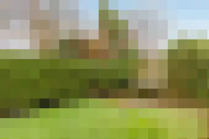 Eikenstraat 19 Grevenbicht thumbnail 30