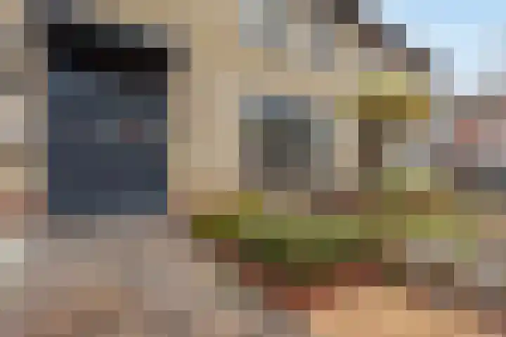 Eikenstraat 19 Grevenbicht thumbnail 31
