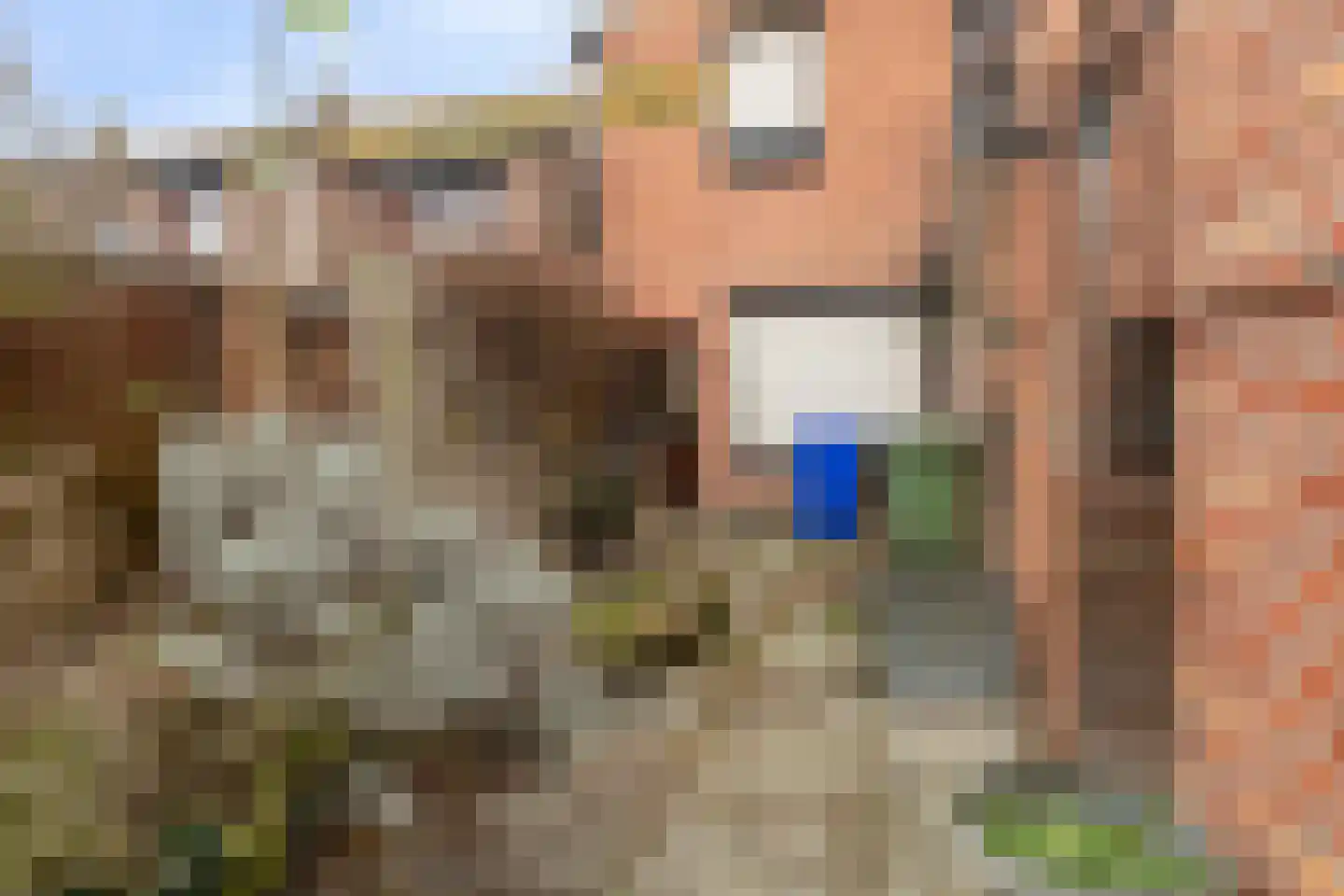 Eikenstraat 20 Sas van Gent thumbnail 21