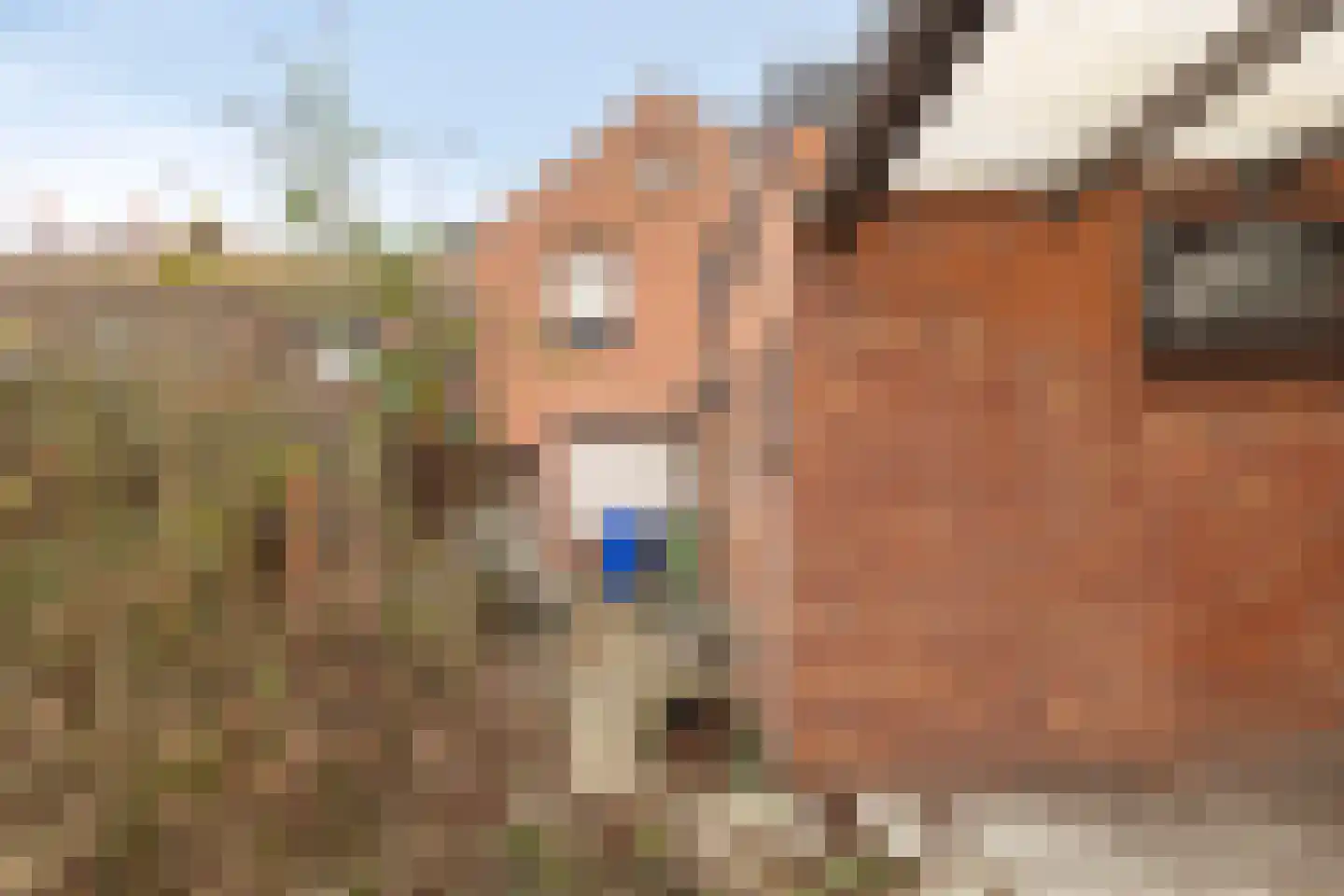 Eikenstraat 20 Sas van Gent thumbnail 22