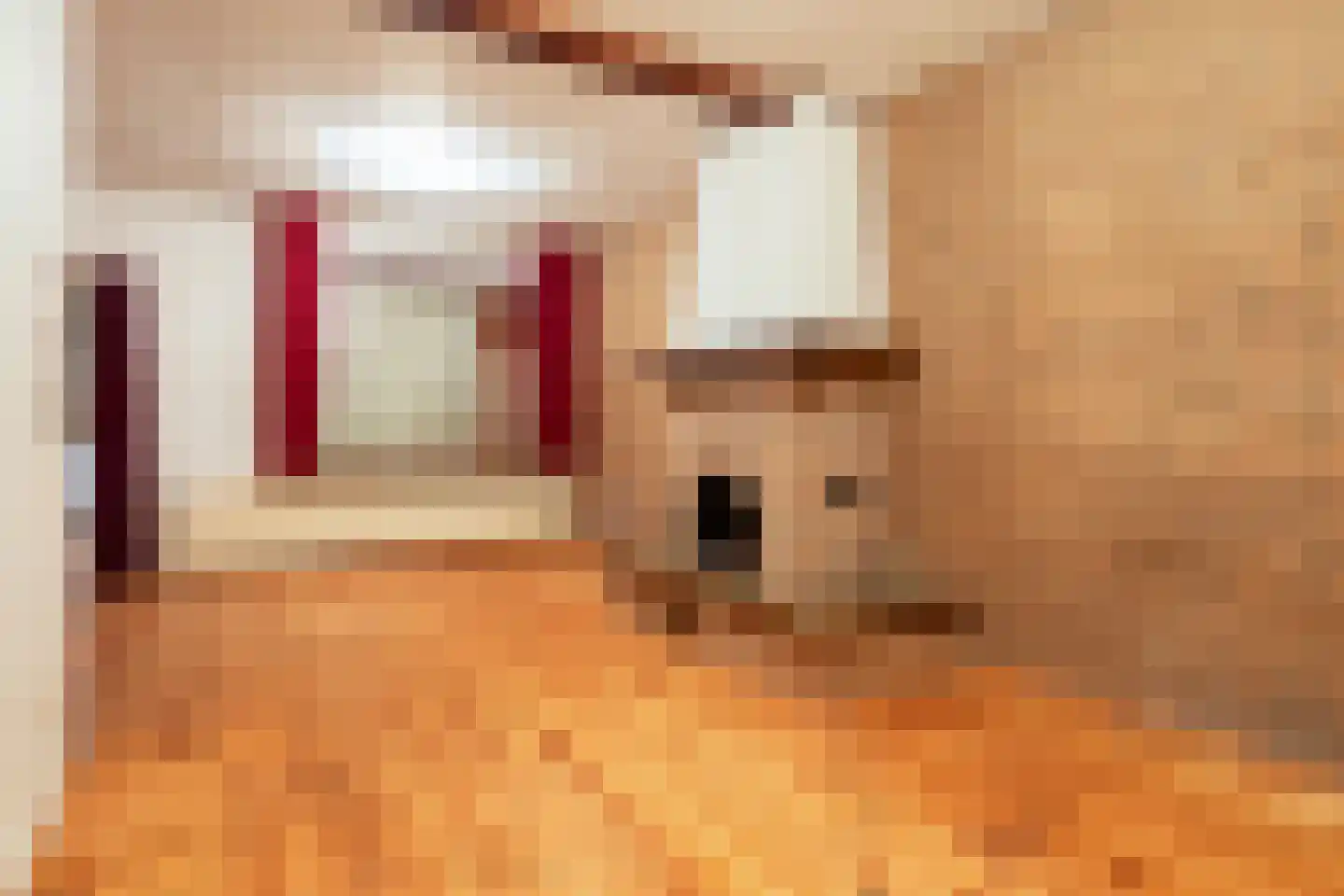 Eikenstraat 20 Sas van Gent thumbnail 4