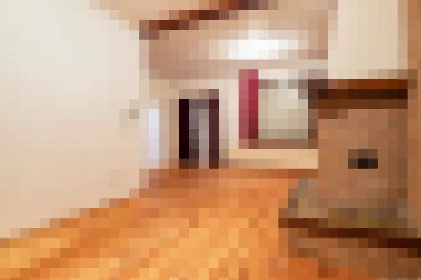 Eikenstraat 20 Sas van Gent thumbnail 5