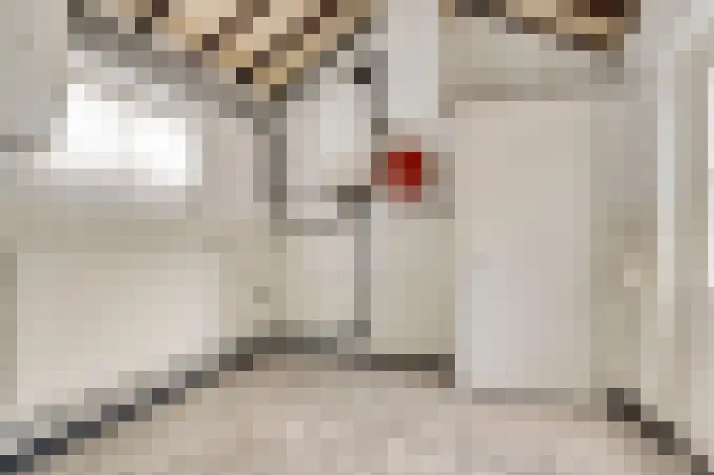 Eikenstraat 21 Linne thumbnail 15