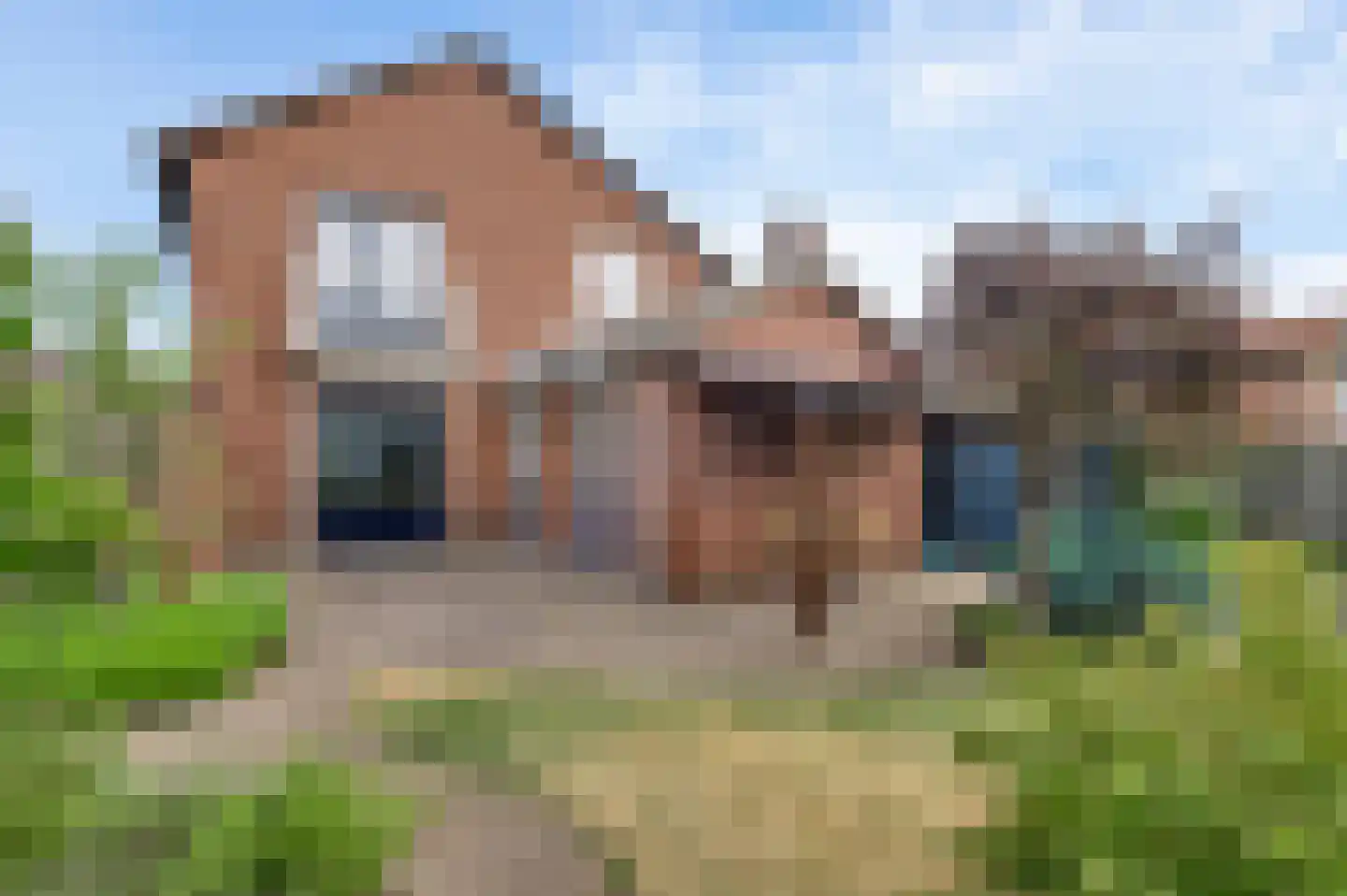 Eikenstraat 21 Linne thumbnail 20