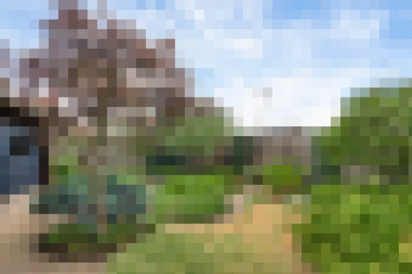 Eikenstraat 21 Linne thumbnail 22