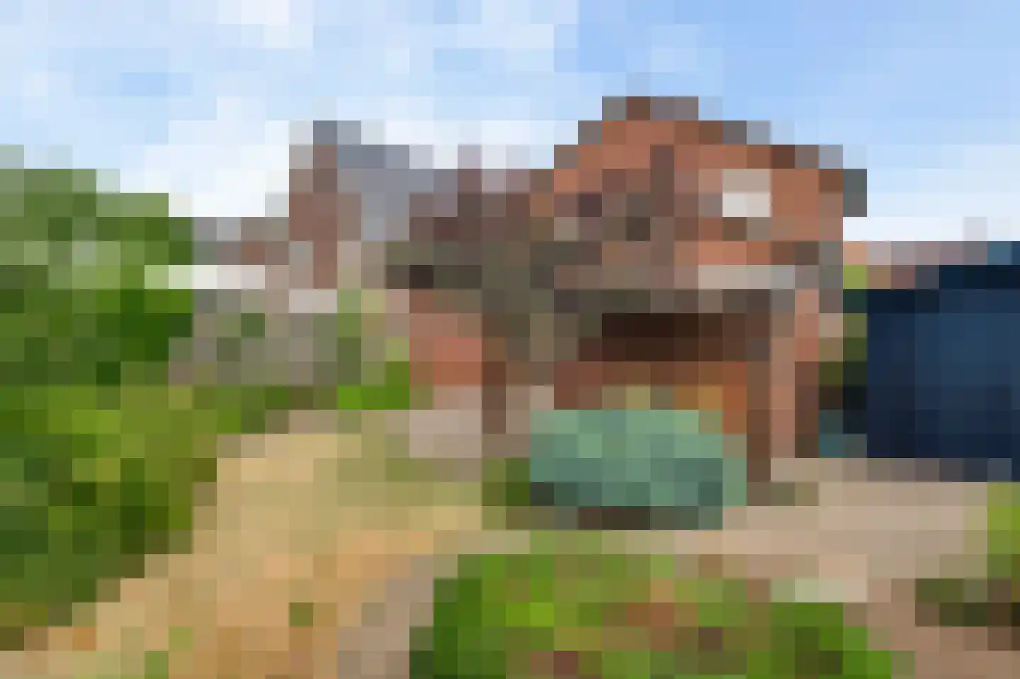 Eikenstraat 21 Linne thumbnail 24
