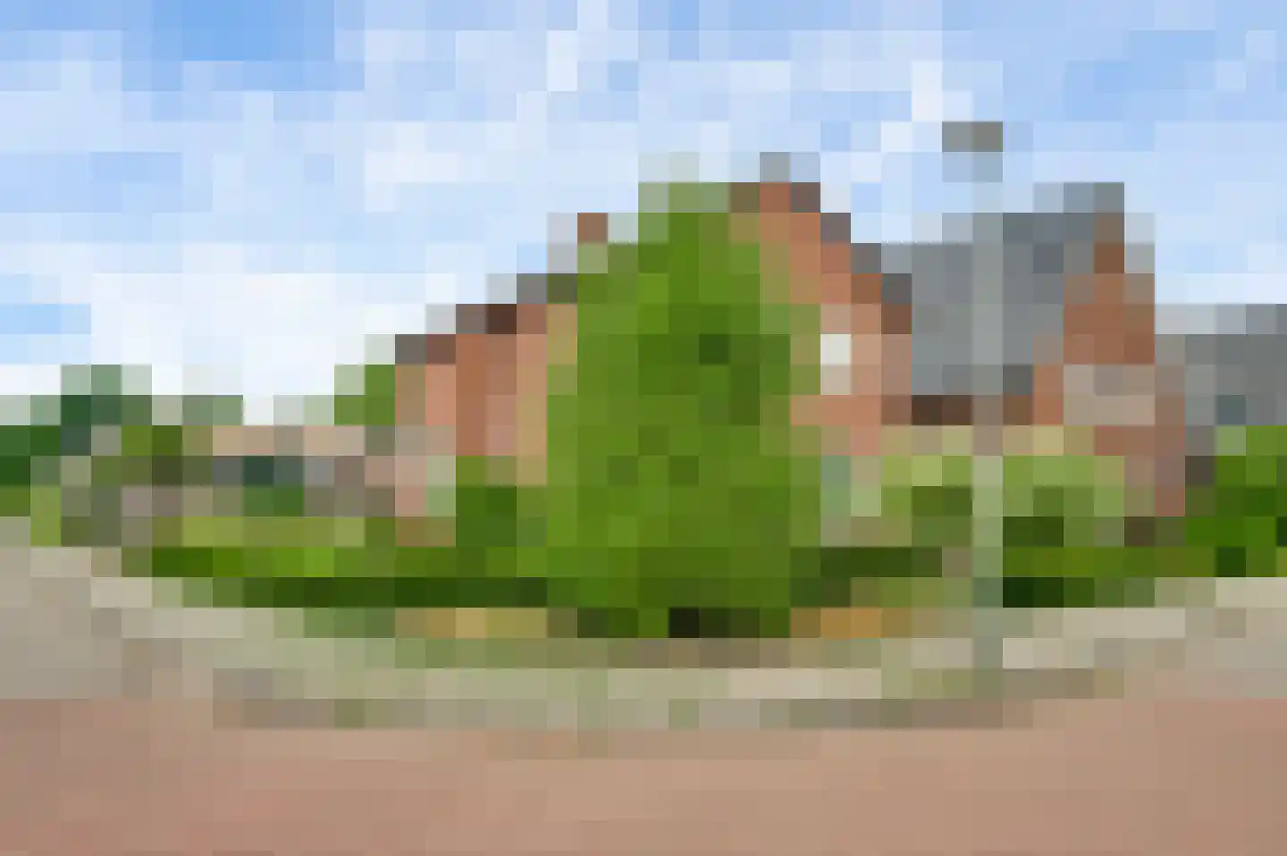 Eikenstraat 21 Linne thumbnail 6