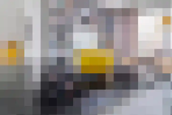 Eikenstraat 27 Dongen thumbnail 17