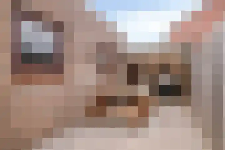 Eikenstraat 27 Dongen thumbnail 33