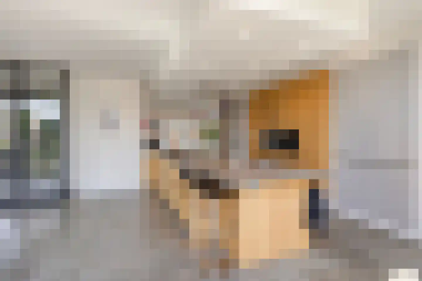 Eikenstraat 3 Nieuwkuijk thumbnail 18