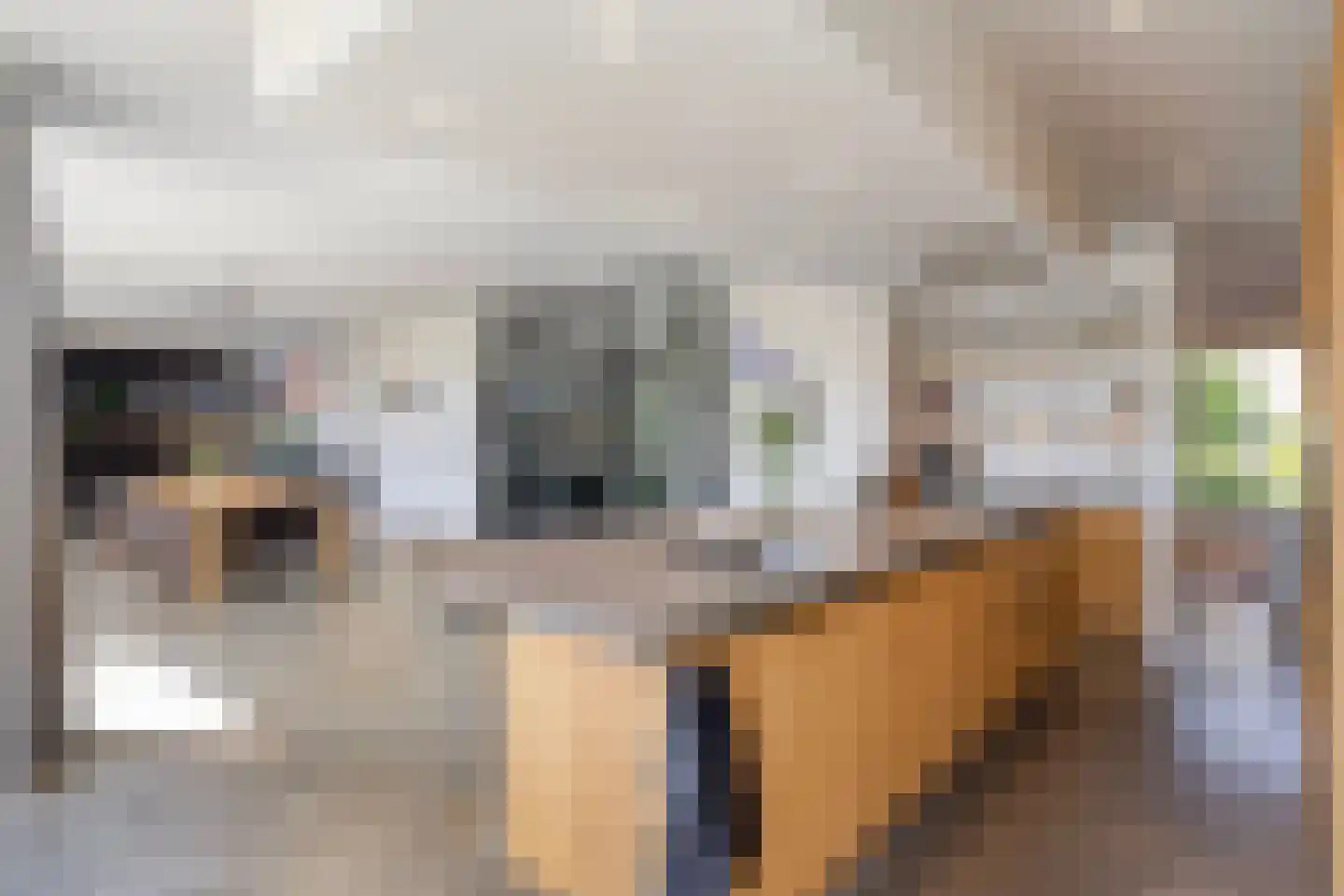 Eikenstraat 3 Nieuwkuijk thumbnail 19