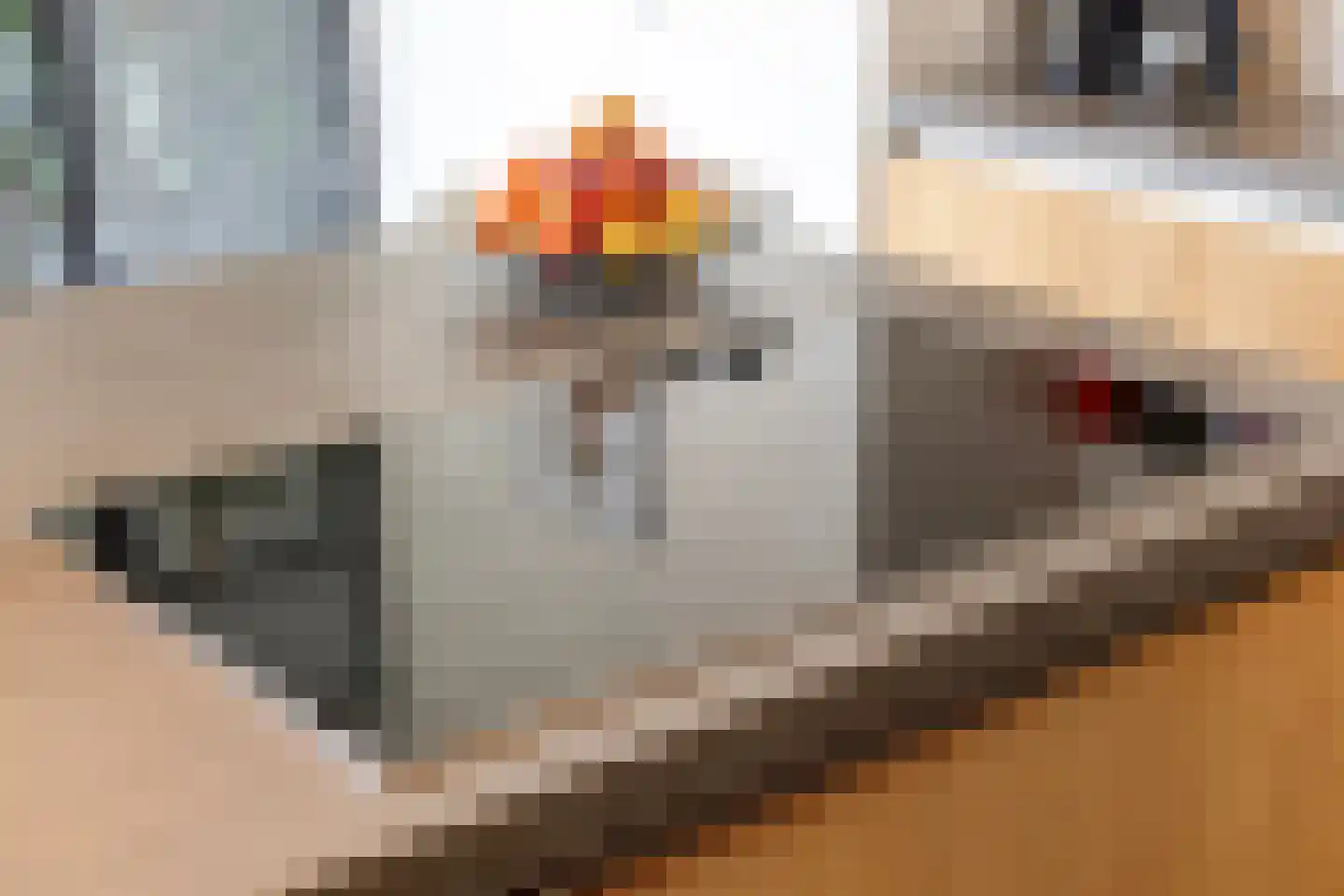 Eikenstraat 3 Nieuwkuijk thumbnail 24